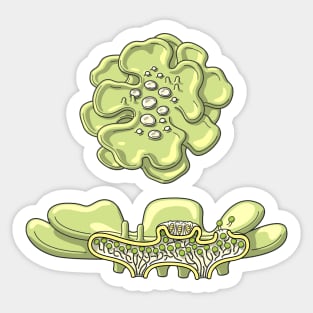 Lichen Structure Illustration Sticker